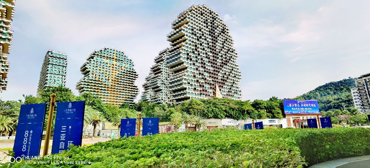 三亚地标性建筑美丽之冠大松树,三亚美丽之冠