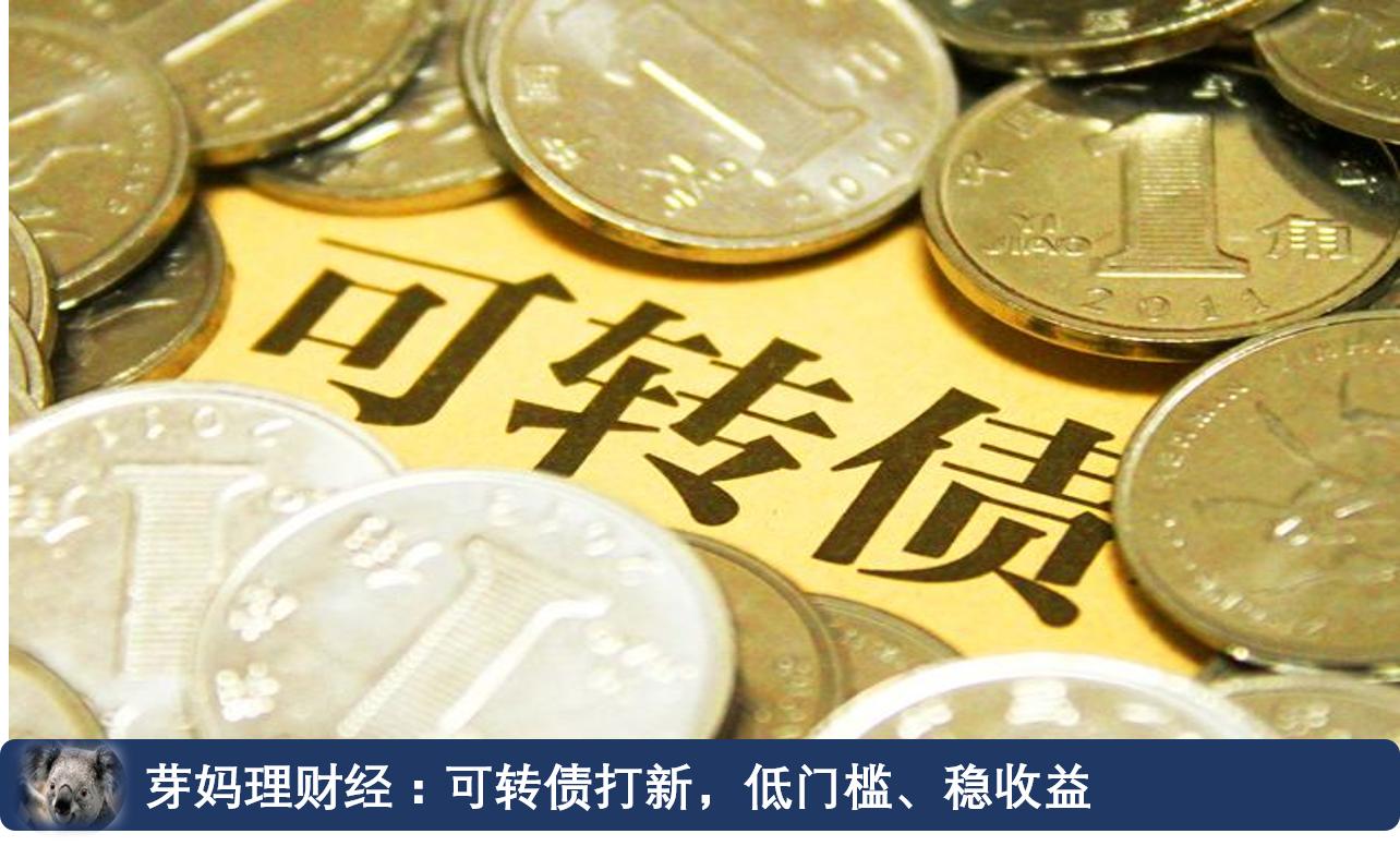 哪种可转债打新能盈利,打新可转债投资