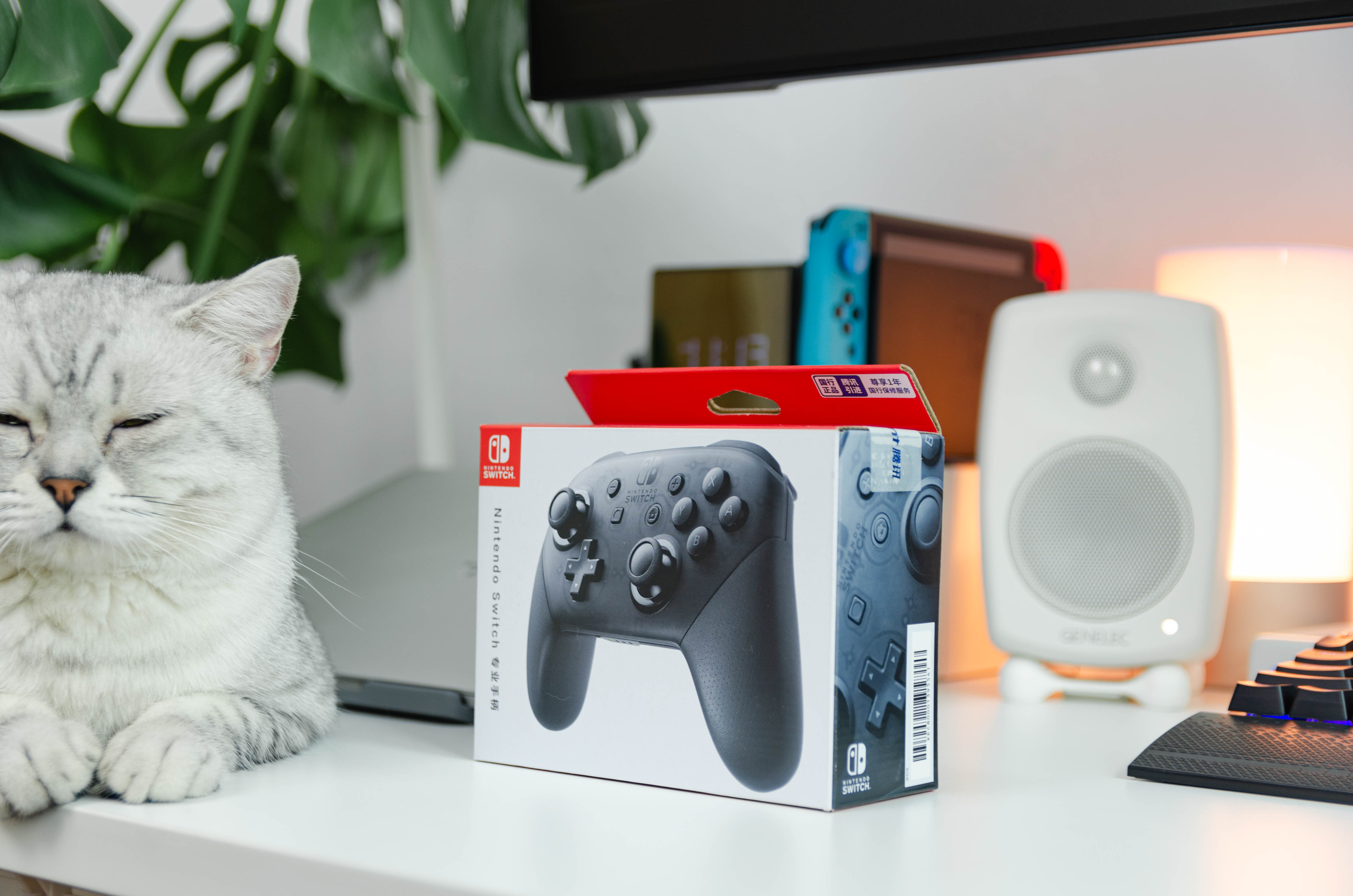 不花冤枉钱物有所值,不花冤枉钱性价比高