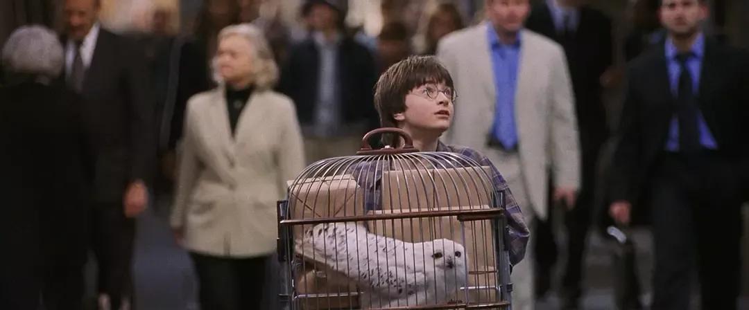 你们打算去电影院看哪几部,一部十年前的电影到电影院重映