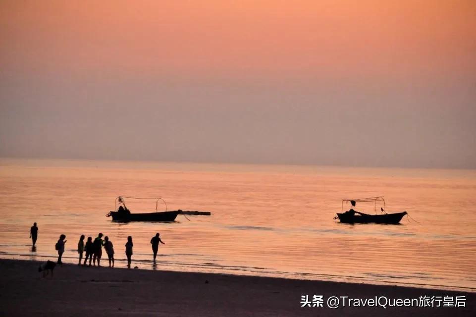动物森友会无人岛一天可以去几次,动物森友会所有虫类图鉴