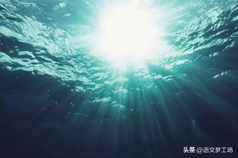 经典作文素材100字,经典作文素材集锦21-30则