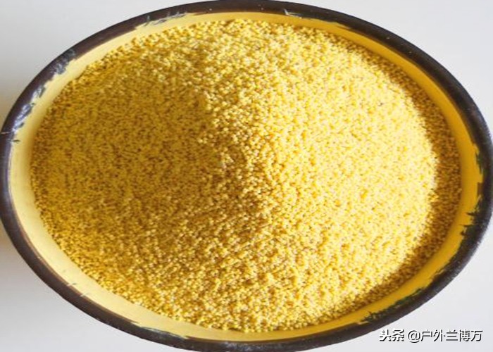 野钓打窝怎么用五谷杂粮做钓饵,如何用大米和酒制作钓鱼打窝饵料