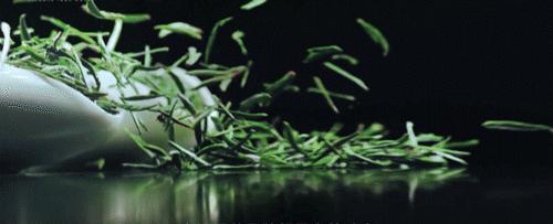 春茶旺季，京东物流走进竹叶青，揭开“城市茶叶消费”的神秘数字