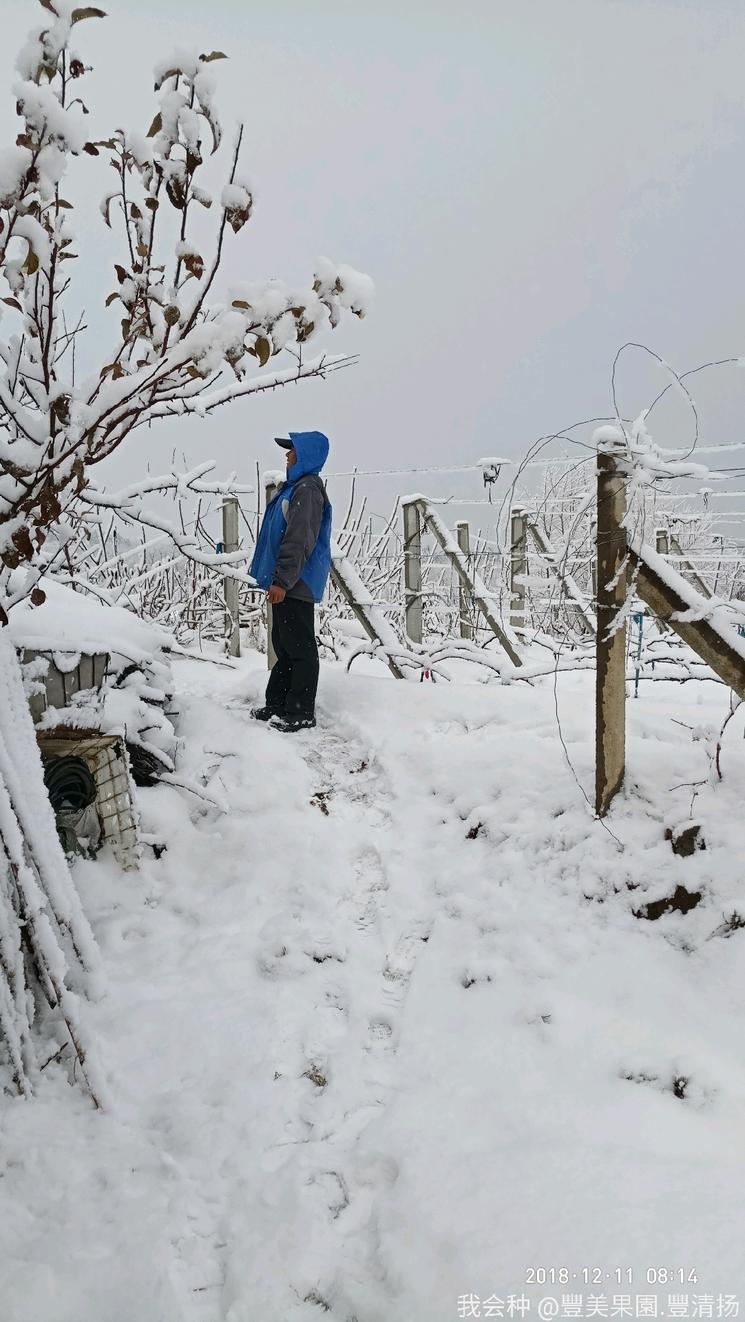 诗和远方在身边完整版,诗和远方在身边