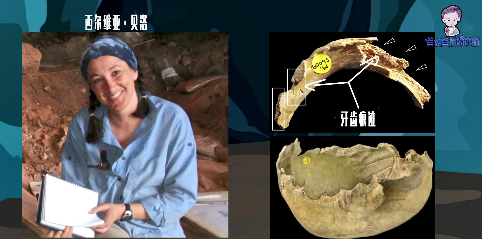 为什么不能吃别人的东西,为什么不能吃食肉动物