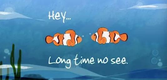 好久不见英语句子,好久不见怎么说比较地道