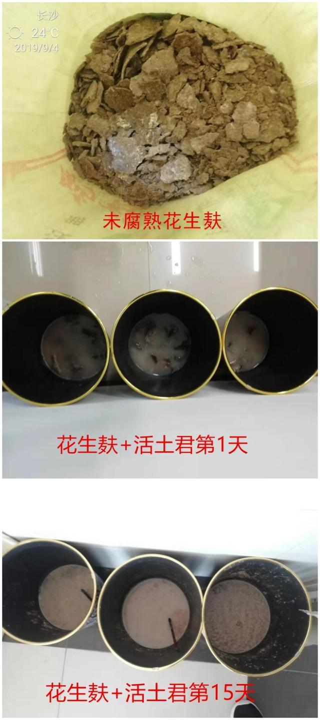 花生麸水肥发酵用红糖还是糖蜜好,用em菌发酵花生麸不用糖蜜可以吗