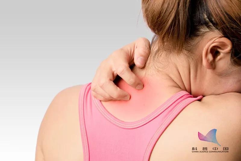 后背长小疙瘩什么原因怎么调理,后背脂肪疙瘩怎么去除