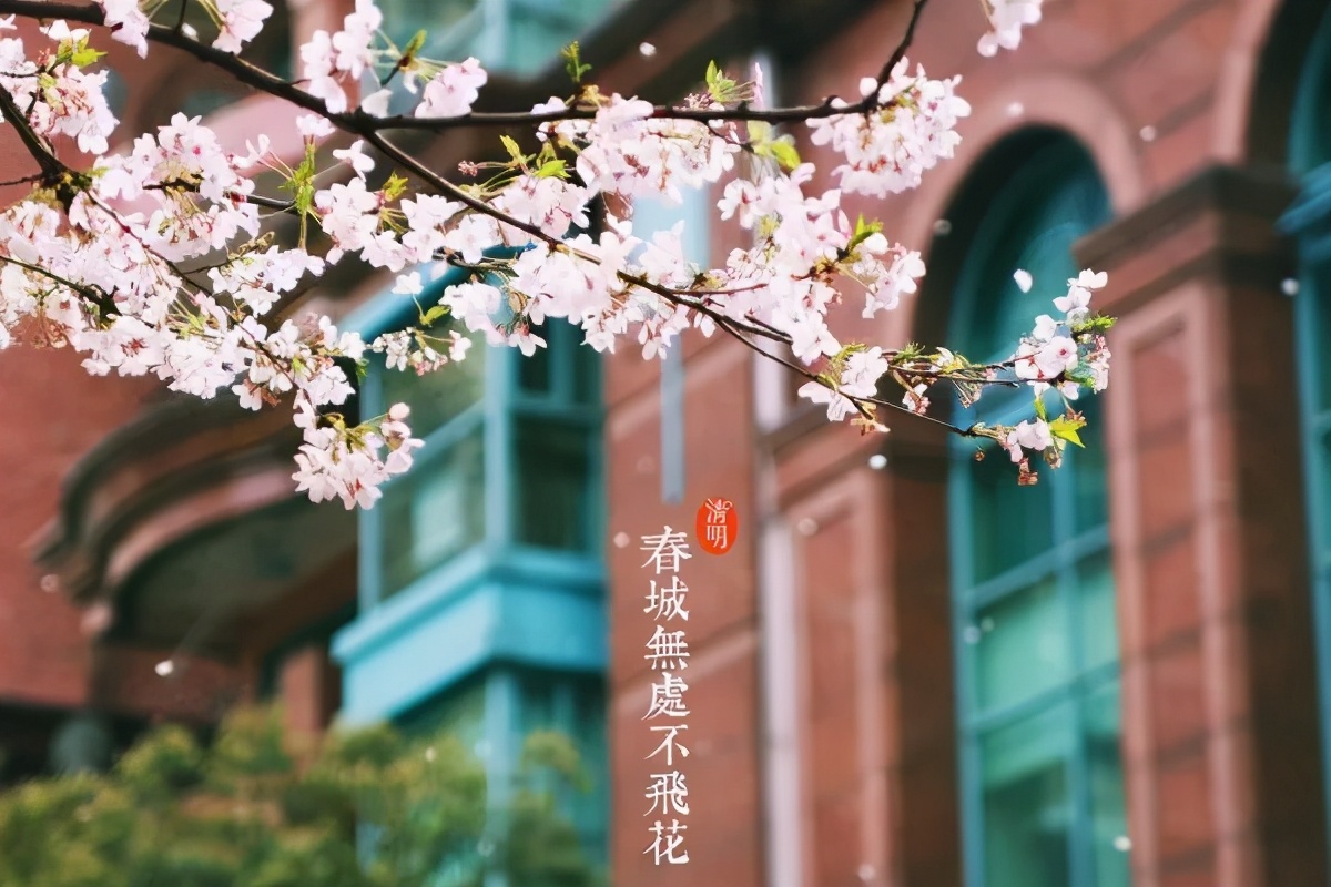 清明节寄托哀思缅怀先烈诗歌,清明节祭奠革命先烈诗词