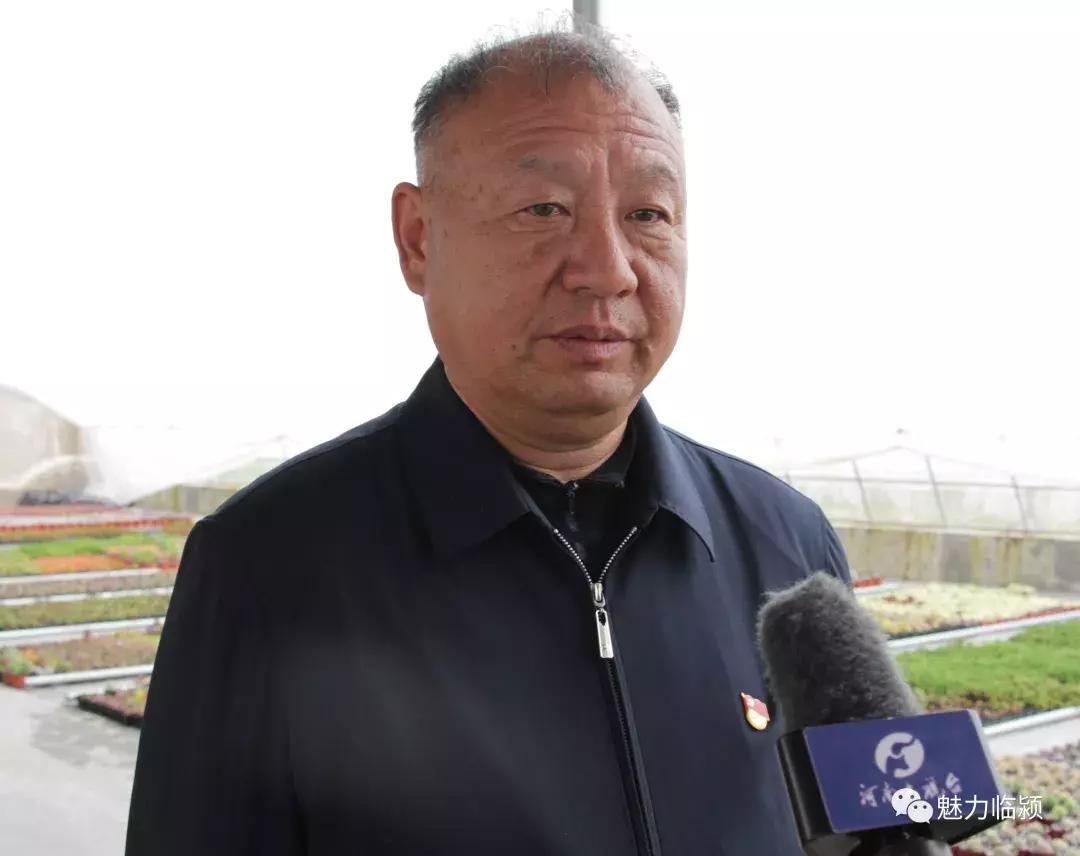 临颍:尚纪安计划5年把刘庄打造成河南最大的花卉种植交易基地