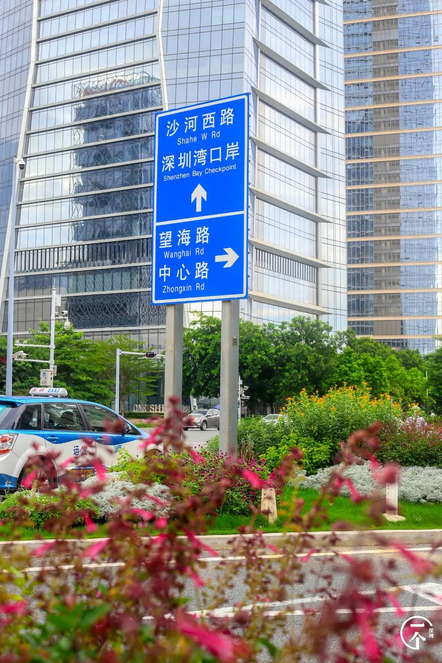 测评深圳湾,我直接被房租劝退