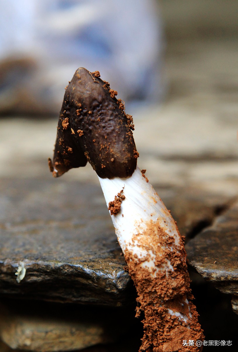 无量山镇游玩攻略一日游,无量山旅游攻略一日游多少钱