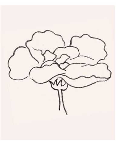 牡丹切瓣花国画画法,国画山茶花花瓣画法