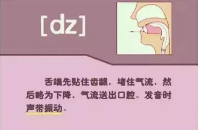 48个国际音标发音清晰口型示范,48个国际英语音标发音表及口型