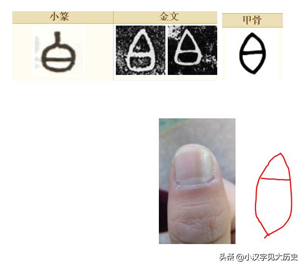 浼徊鍙斿瑙f瀽,浼徊鍙斿鏂囧甯歌瘑