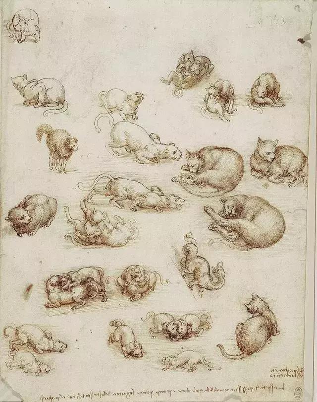 拉斐尔达芬奇意大利文艺复兴三杰,意大利文艺复兴三杰拉斐尔达芬奇