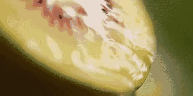 閬傛槍閫傚悎绉嬪ぉ鍘荤殑鍦版柟,閬傛槍鏃呮父缇庢櫙