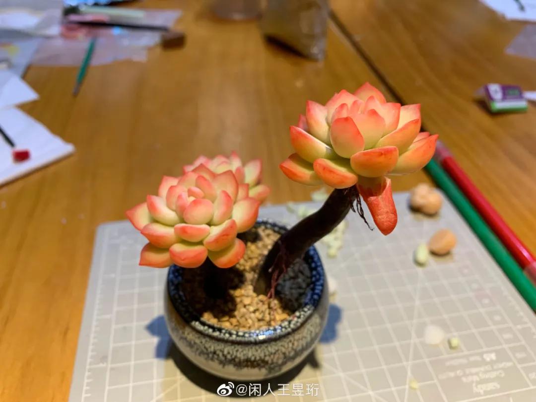 王昱珩不上班做到财富自由,最强大脑王昱珩清华毕业后不上班