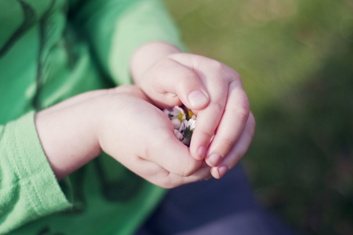 高三了，如何放弃恋情专心学习？孩子，情感需要面对而不是放弃