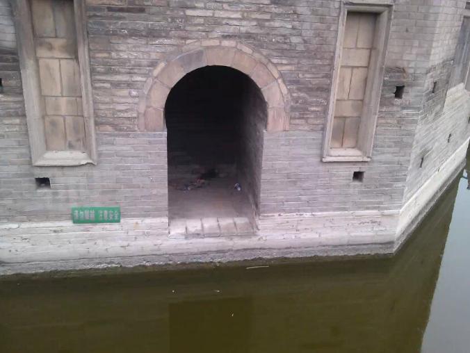 奇怪的古塔燕子----“严冬不南迁，有足不成行”