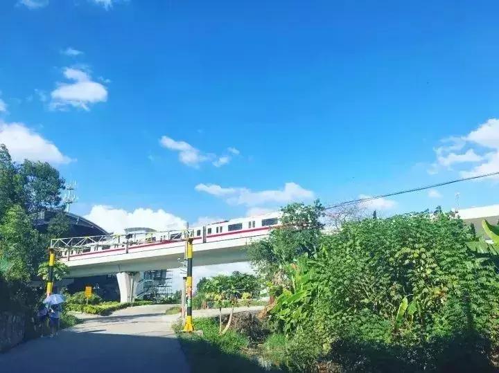 广州踏青好去处地铁附近,广州周边地铁一日游最佳路线