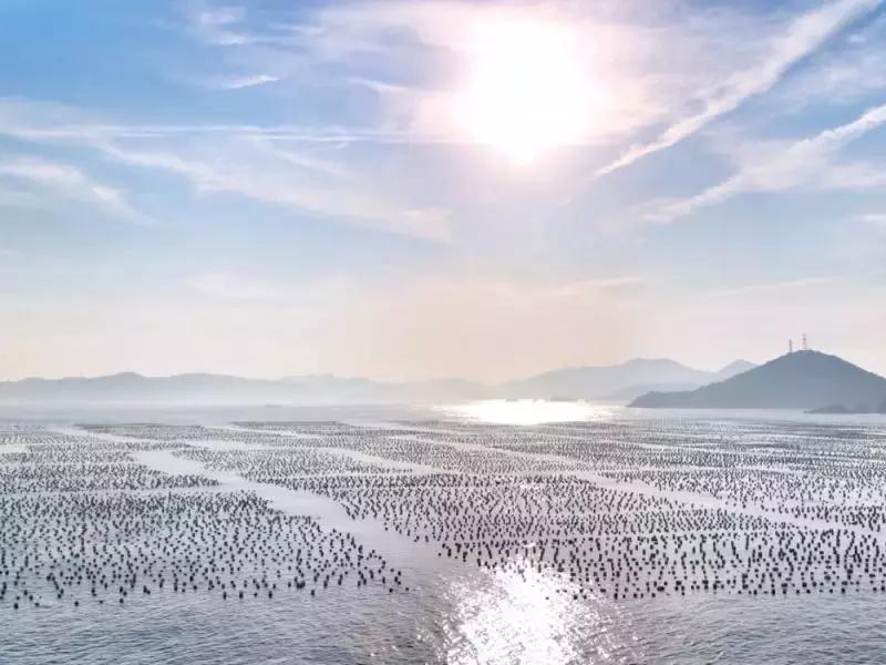 江浙沪500以内网红民宿,最适合小住的海边民宿