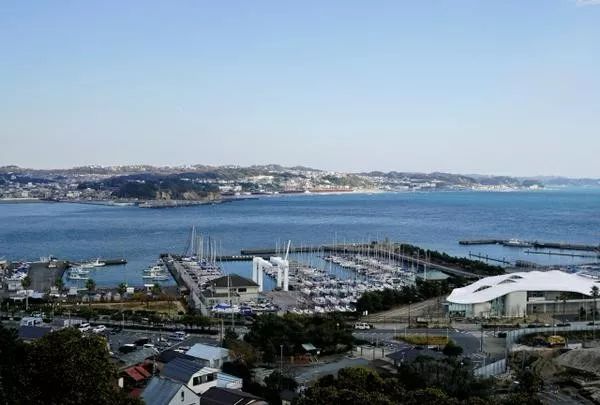 2020东京奥运会具体时间地点,2020年东京奥运会看点大盘点