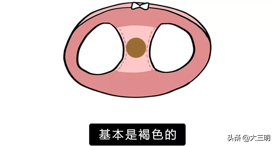 新买的内裤要不要洗一下再穿呢,新买的内裤第一次需要洗吗