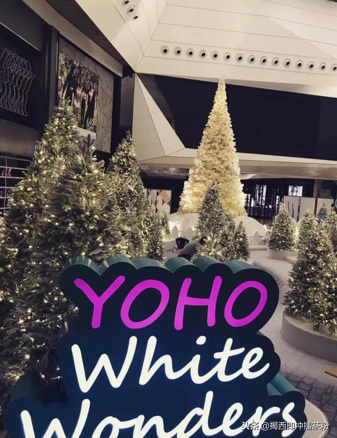 过分美丽！圣诞灯饰点亮香港：泰迪熊、比卡超、布丁狗陪你过圣诞