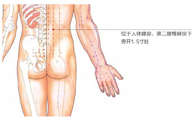 急性腰扭伤怎么办？中医按揉3个小穴位，轻松解决！