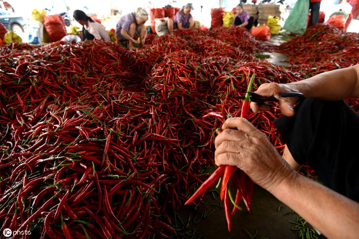 豆瓣酱川菜之魂,川菜之魂