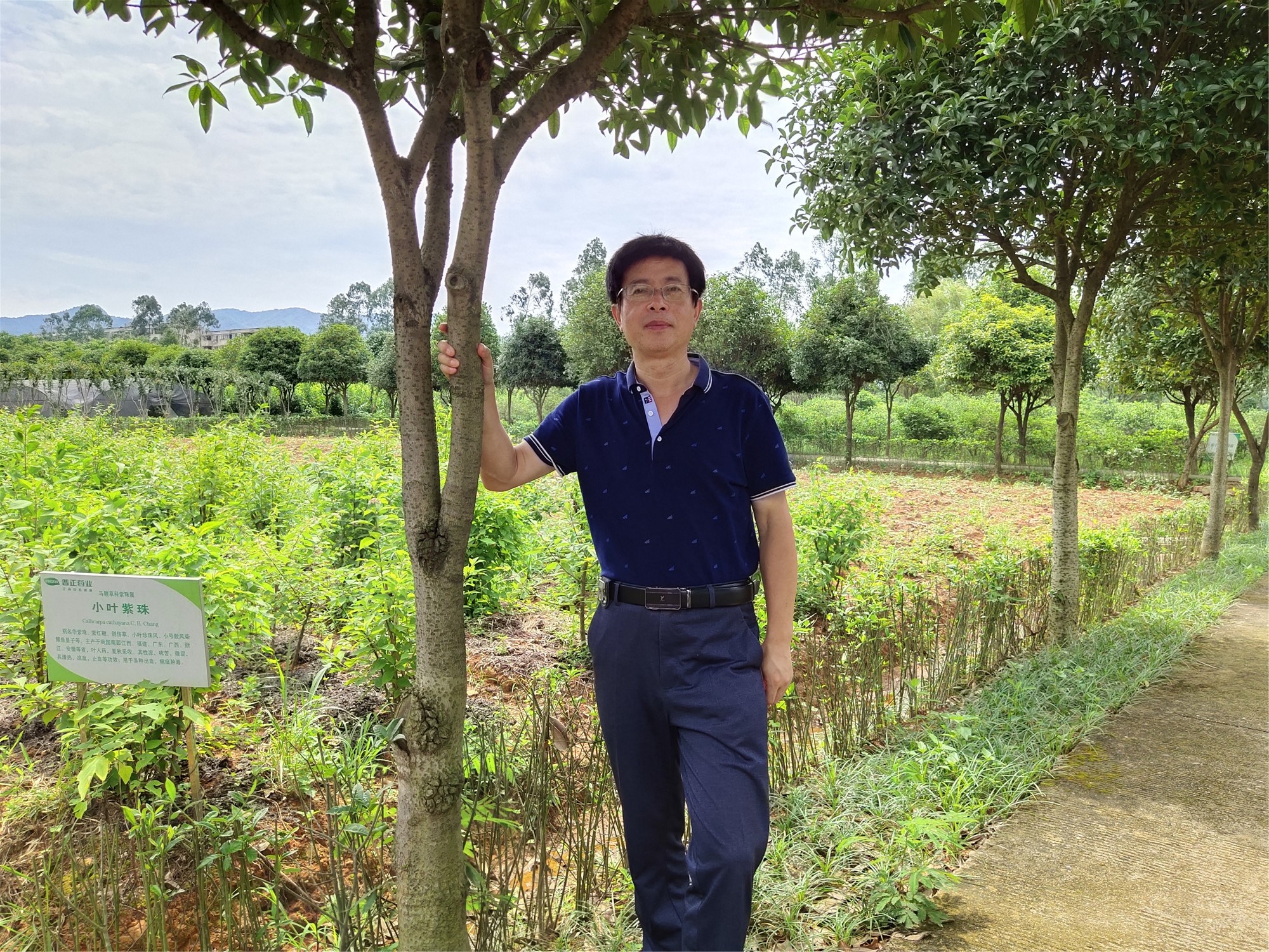 井冈山的歌者：著名作家袁鹰、江子等对胡刚毅文学作品的评论