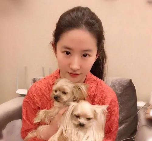 鞠婧祎修图底图,鞠婧祎修图后的照片