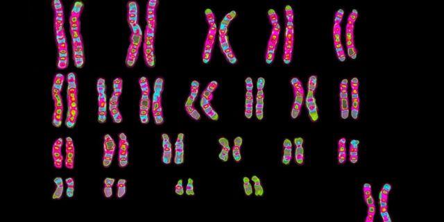 火化后的骨灰能检测dna吗,火化后骨灰能做dna检查吗