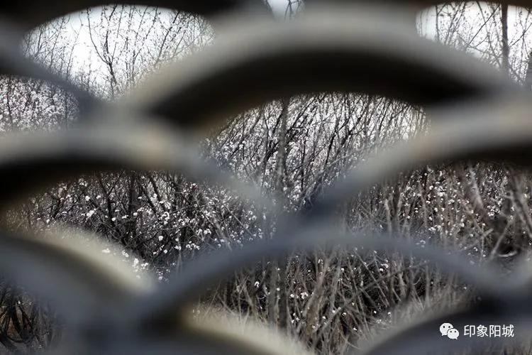 晋城哪里可以春游,晋城附近春游景点