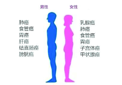 各省份癌症发病率,广州哪种癌最容易得