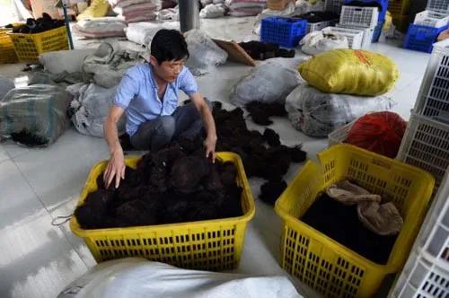 农村24个挣钱的事业，谁先做谁就是最先吃到螃蟹的人