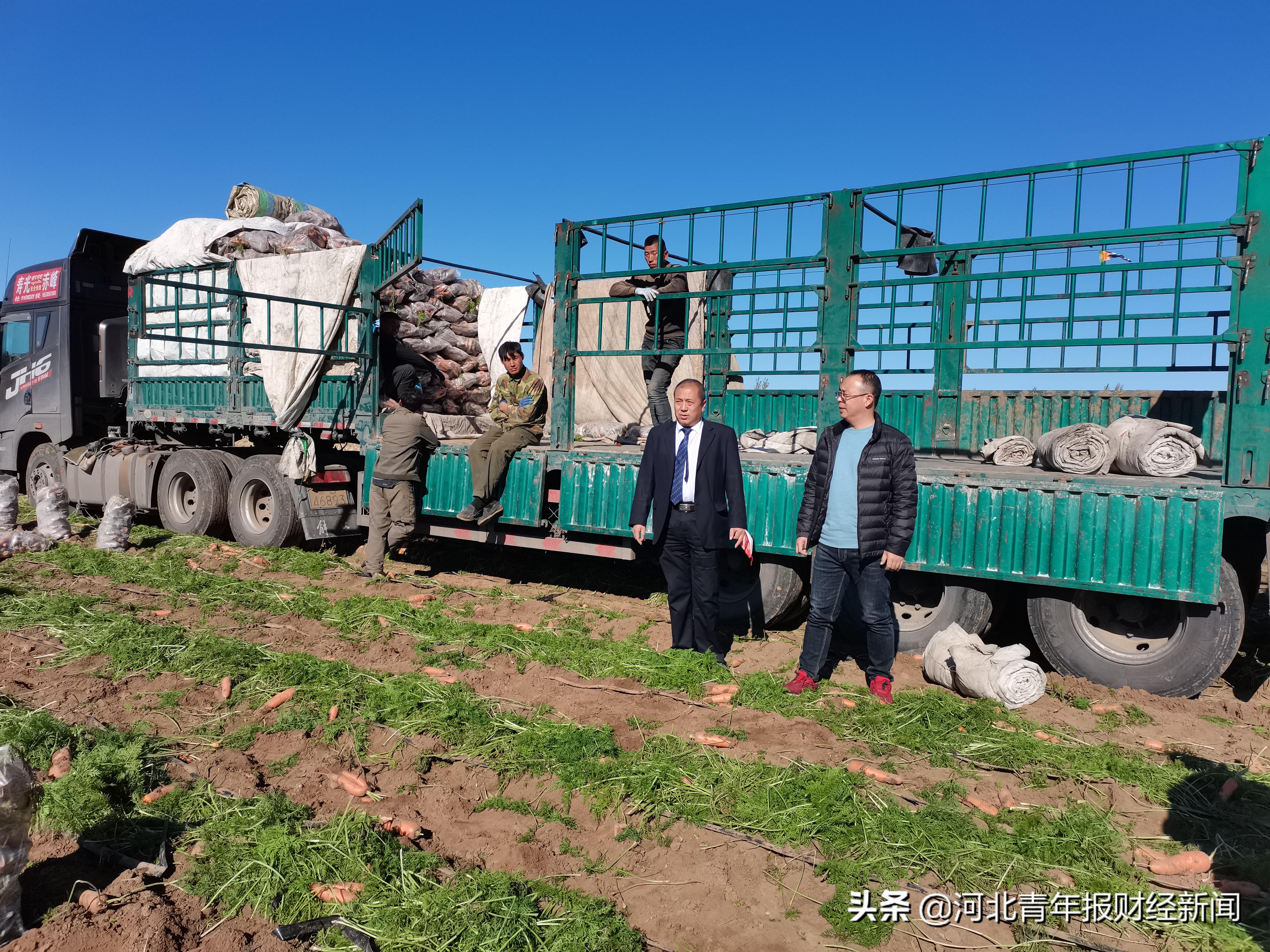 閲戣瀺娲绘按娴囩亴鍒涗笟涔嬭姳,閲戣瀺娲绘按娴囩亴涔℃潙