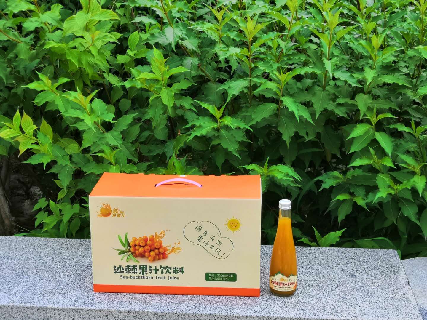 沙棘籽油的功效与作用喝法,沙棘籽油的功效与作用有哪些