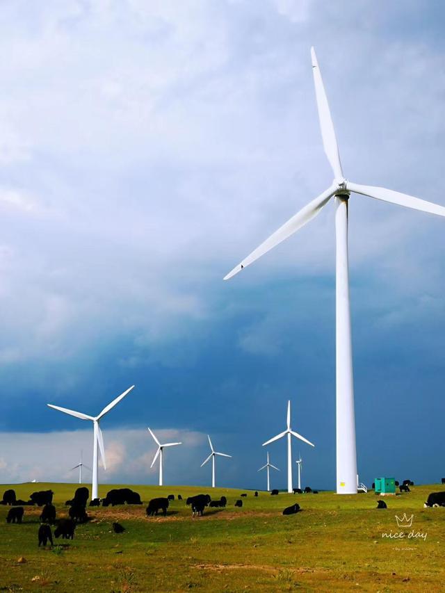 乌兰布统和红松洼哪个更值得去,辽宁乌兰布统草原旅游