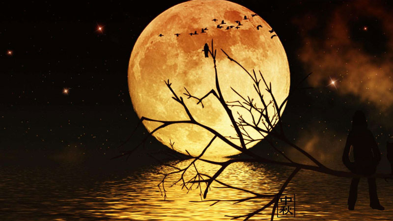 苏轼最著名的诗中秋,苏轼关于中秋的古诗句特别有名