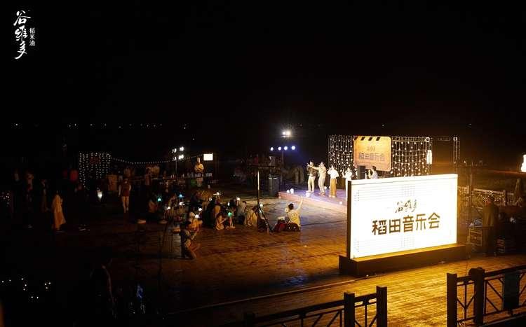 在稻田里开音乐会，金龙鱼谷维多开启不一样的溯源之旅