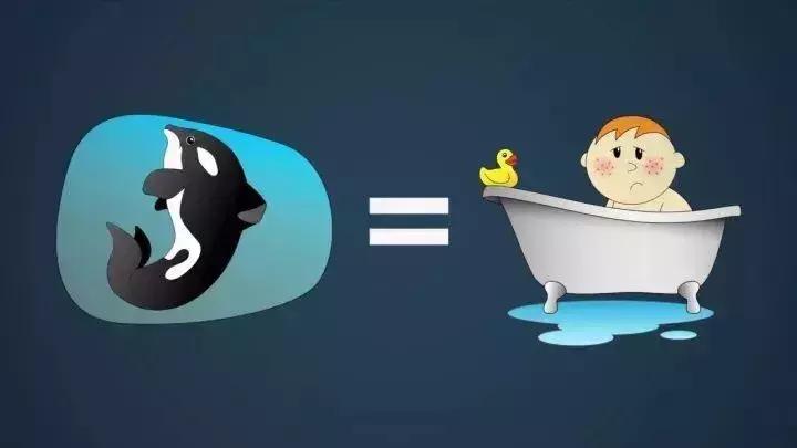 难得一见海洋动物表演,看不完的海洋动物和表演