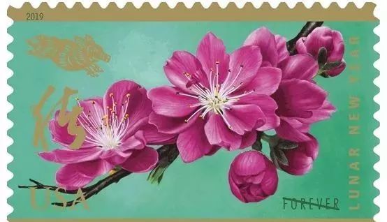 猪年的邮票是什么样的,今年猪年有什么好的邮票