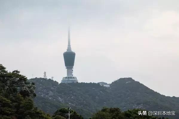 深圳最值得免费去的十大景点,深圳有哪些地方是免费景点