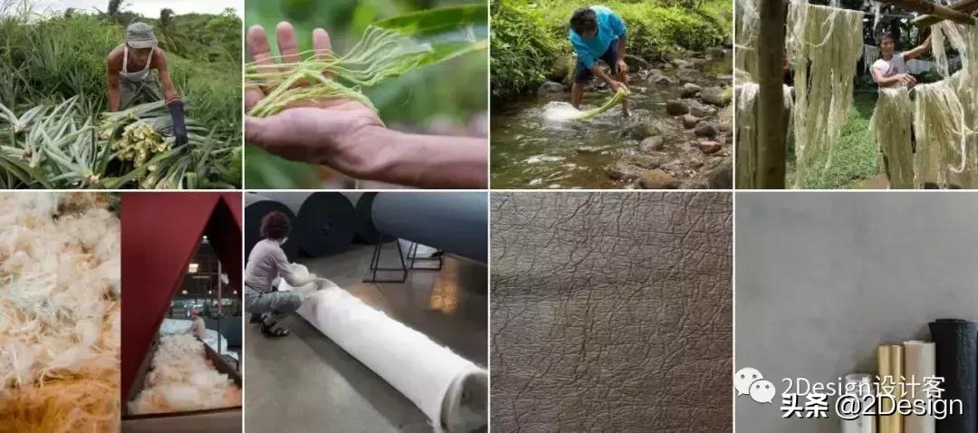 Gucci、HM都在用，一条用垃圾做的裙子，拯救了无数的小动物..