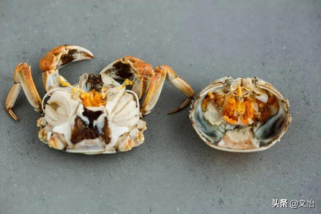 科普河蟹和海蟹的区别,海蟹和河蟹有什么区别在哪里