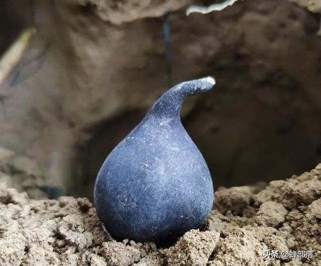 土人参多少钱一苗,土人参1千克得多少钱