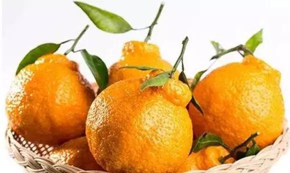 柑橘表皮凹凸不平怎么防治,果皮病害识别图